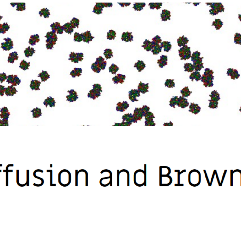 Sixth Biological Diffusion and Brownian Dynamics Brainstorm