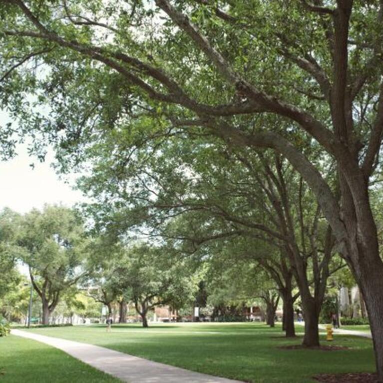 College setting stock photo