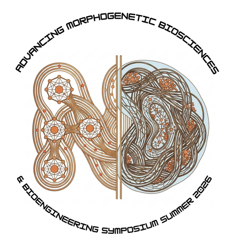 Advancing Morphogenic Biosciences & Bioengineering Symposium Summer 2026