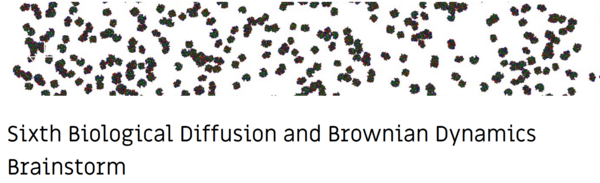 Sixth Biological Diffusion and Brownian Dynamics Brainstorm