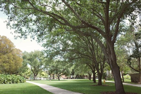 College setting stock photo